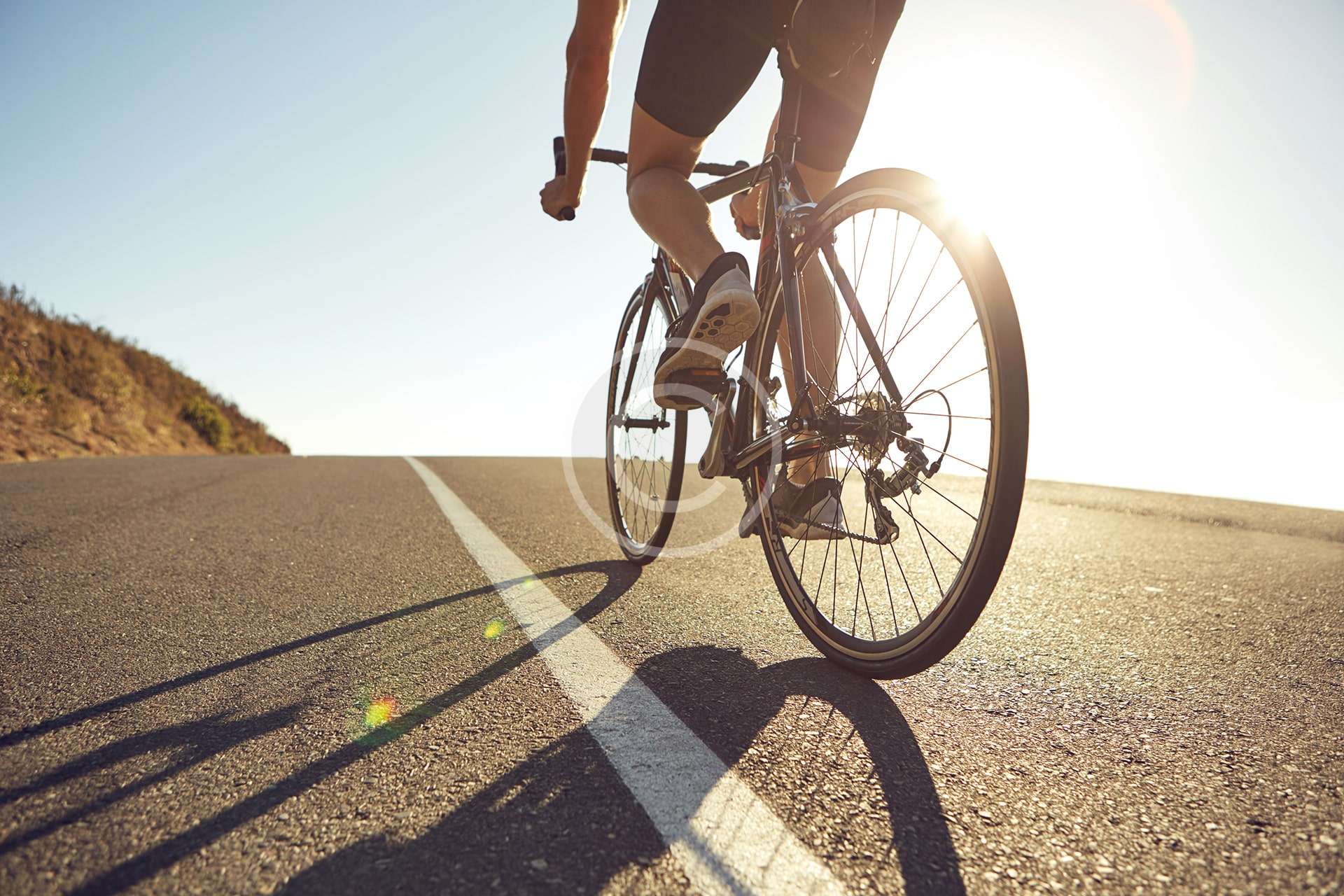 Quick Bicycle Rentals Quick Bicycle Rentals