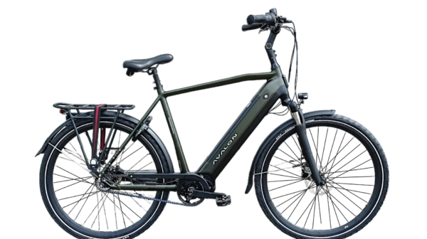 Avalon E-Pro Premium – Mosgroen (Heren)